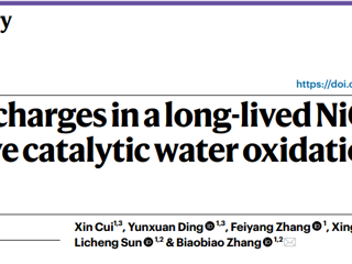 优秀校友:材料科学与工程本科专业2017届崔鑫同学在《Nature Chemistry》发表突破性研究成果