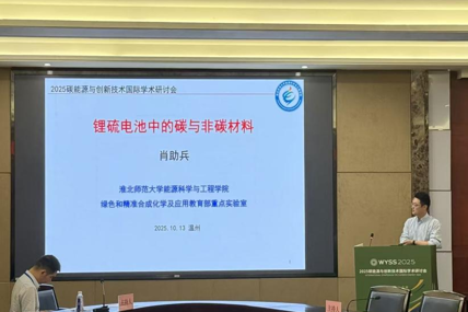 我院肖助兵教授、王璐博士应邀参加2025碳能源与创新技术国际学术研讨会并作主题报告