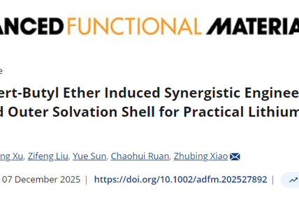 王璐/肖助兵团队在《Advanced Functional Materials》发表锂硫电池研究的突破性进展