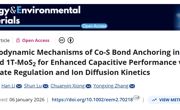 李汗/张永兴团队在《Energy & Environmental Materials》发表电化学储能材料研究新进展