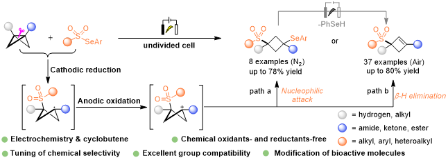 b511f4f72c2046ceb688a7cb8fcbfd6a.png b511f4f72c2046ceb688a7cb8fcbfd6a.png