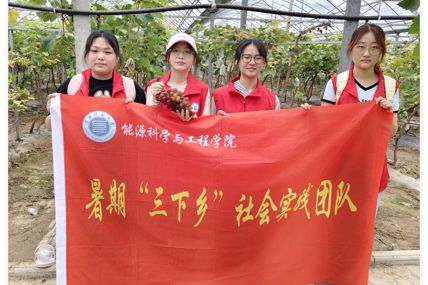深入基层实践 助力乡村振兴——学院学生赴杜集区段园镇大庄村开展暑期社会实践