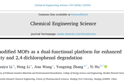 张伟/张永兴团队在《Chemical Engineering Science》发表固定化酶生物催化研究新进展
